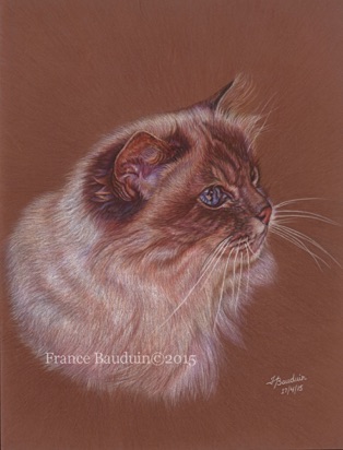 Rudi - 14 hours
Brown Pastelmat
11.8" x 14.5
Friend's Birman Rudi - 14 hours
Brown Pastelmat
11.8" x 14.5
Friend's Birman